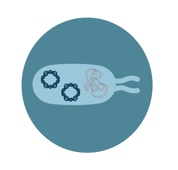 transform_icon