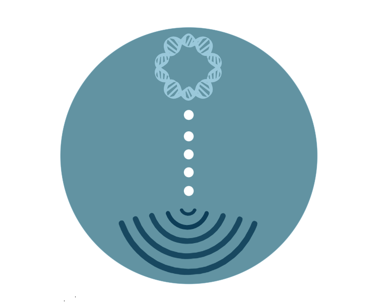 echo_icon