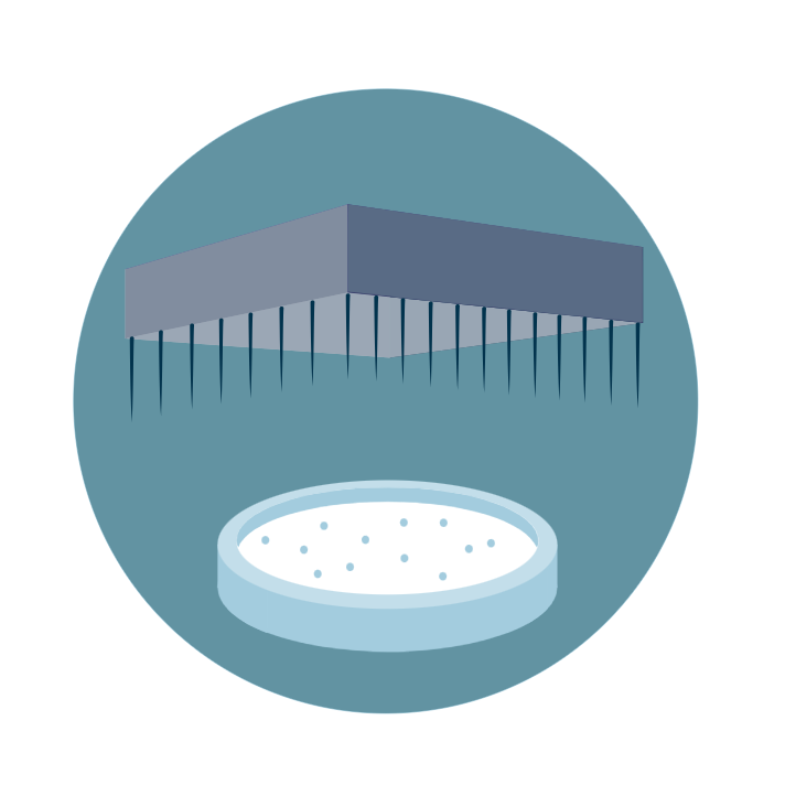 echosetup_icon